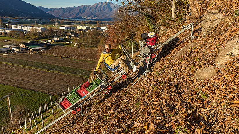 Doppelmayr Seilbahn GmbH Monorack